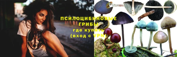 МДПВ Медногорск