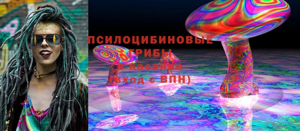 спиды Медвежьегорск